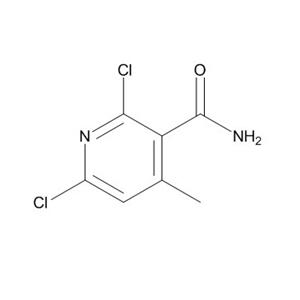 2,6-二氯-4-甲基烟酰胺,2,6-dichloro-4-methylnicotinamide