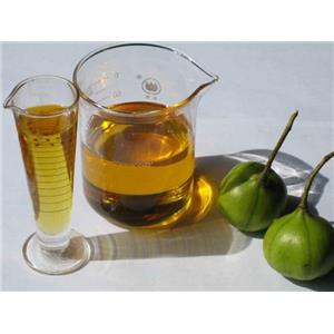 梓油,Chinese tallowtree seed oil