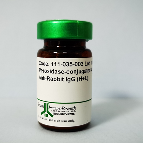 辣根过氧化物酶HRP标记亲和纯化山羊抗小鼠IgG,Horseradish Peroxidase-conjugated AffiniPure Goat Anti-Mouse IgG
