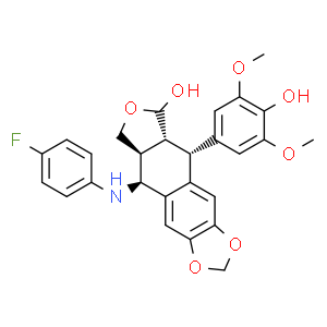 白果新酸；银杏酸C13：0