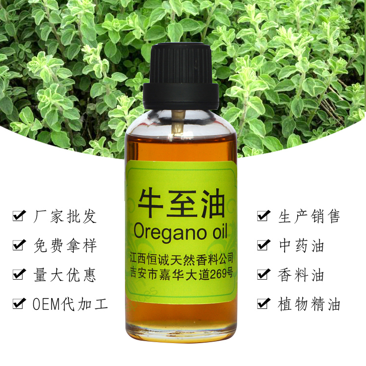 牛至油,Origano Oil