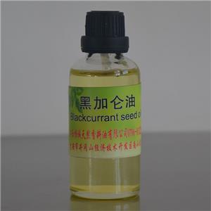 黑加仑油,Black Currant oil