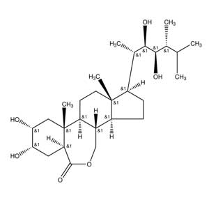 24-表油菜素內(nèi)酯,24-Epicastasterone