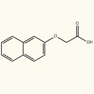 2-萘氧乙酸,2-Naphthoxyacetic Acid