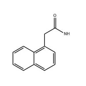 1-萘乙酰胺,1-Naphthylacetamide