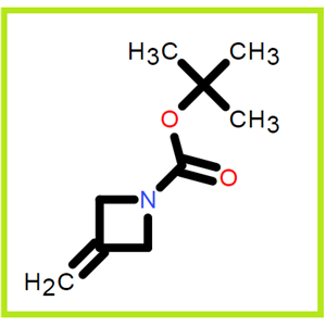 1-Boc-3-亚甲基氮杂环丁烷