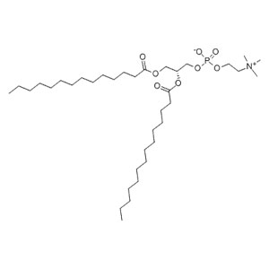 二肉豆蔻酰磷脂酰膽堿,DMPC