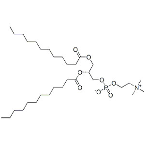 L-ɑ-月桂酰磷脂酰胆碱,DLPC
