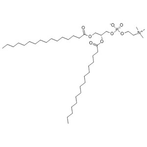 二棕榈酸磷脂酰胆碱,DPPC