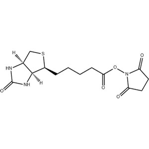 N-羟基琥珀酰亚胺生物素,N-Hydroxysuccinimidobiotin