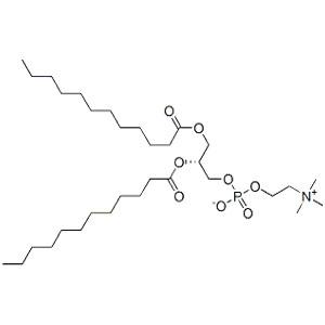 L-ɑ-月桂酰磷脂酰胆碱