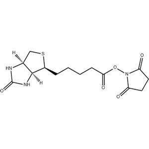 N-羟基琥珀酰亚胺生物素,N-Hydroxysuccinimidobiotin