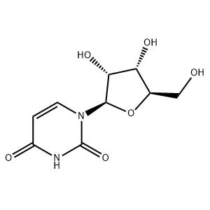 尿苷,Uridine