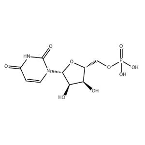 5-尿苷一磷酸,Uridine 5′-Monophosphate