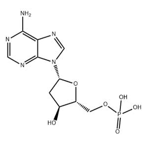 2′-脱氧腺苷-5′-单磷酸,2′-Deoxyadenosine 5′-Monophosphate