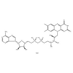 黃素腺嘌呤二核苷酸二鈉鹽,Flavin Adenine Dinucleotide Disodium Salt