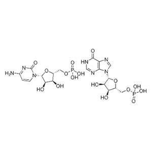 聚胞苷酸,Polycytidysic Acid