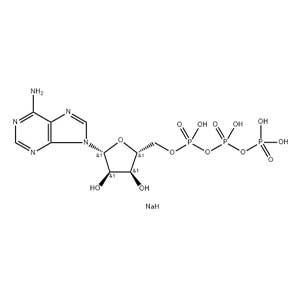 5-腺苷三磷酸二钠盐,Adenosine 5′-Triphosphate Disodium Salt