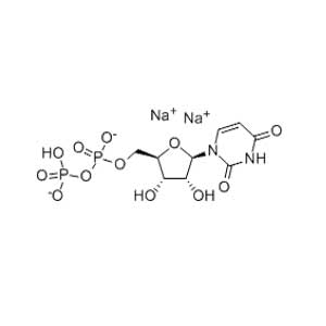 5-尿苷二磷酸钠盐,Uridine 5'-Diphosphate Sodium Salt