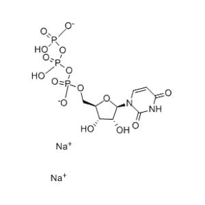 5-尿苷三磷酸二钠盐,Uridine-5'-Triphosphate Disodium Salt
