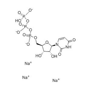 5-尿苷三磷酸三钠盐,Uridine 5′-Triphosphate Trisodium Salt Hydrate