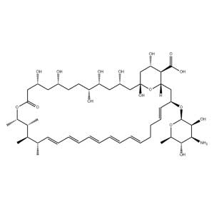 两性霉素B,Amphotericin B