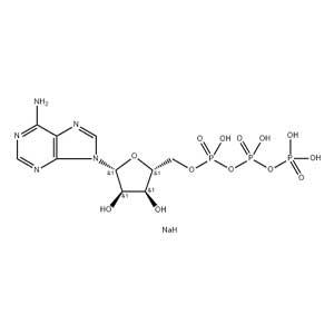 5-腺苷三磷酸二钠盐,Adenosine 5′-Triphosphate Disodium Salt