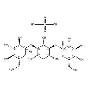 卡那霉素硫酸盐,Kanamycin SUlfate