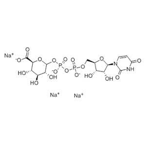 尿苷二磷酸葡糖醛酸,UDP-GlcA