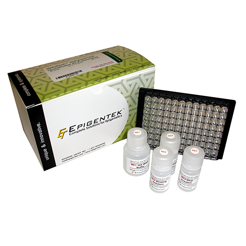 EpiQuik M6A RNA甲基化定量檢測試劑盒（比色法）,EpiQuik M6A RNA Methylation Quantification Kit