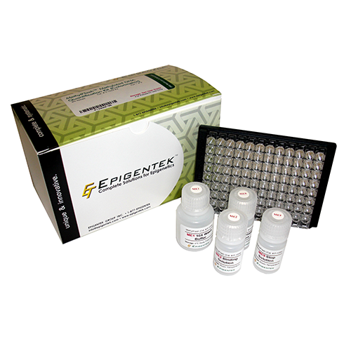 ChromaFlash 高灵敏染色质免疫共沉淀（ChIP）试剂盒,ChromaFlash High Sensitivity ChIP Kit