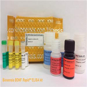 成熟的BDNF快速ELISA试剂盒：人，小鼠，大鼠（1个板）,Mature BDNF Rapid ELISA Kit: Human, Mouse, Rat (1 plate)