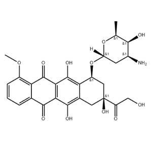 阿霉素,Adriamycin