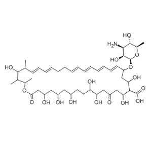 制霉菌素,Nystatin