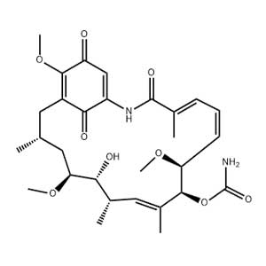 格爾德霉素,Geldanamycin