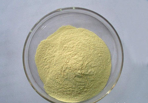 海藻酸钙,Calcium Alginate