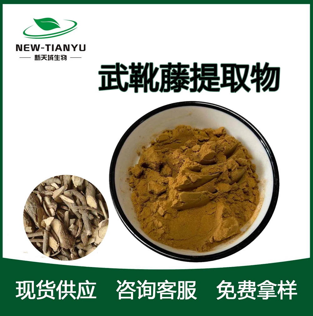 武靴藤提取物,Gymnema extract