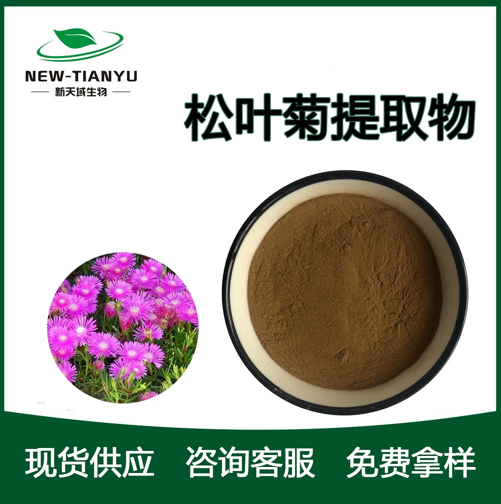 松叶菊提取物,Pine leaf Chrysanthemum extract