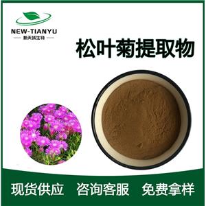 松叶菊提取物,Pine leaf Chrysanthemum extract