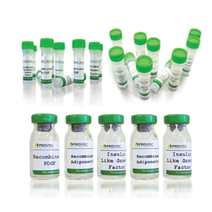 Recombinant Human Parathyroid Hormone (1-84)