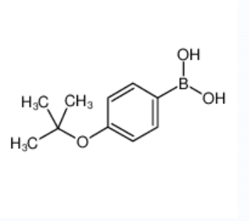 4-叔丁氧基苯硼酸,4-T-Butoxyphenylboronic acid