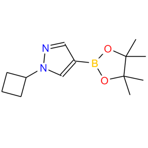 N-环丙基-吡唑-4-频哪醇二硼酸酯