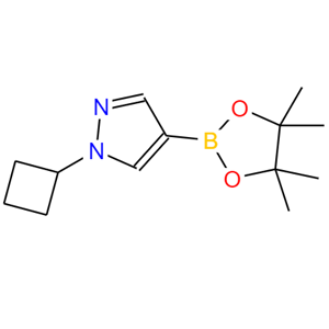 N-環(huán)丙基-吡唑-4-頻哪醇二硼酸酯