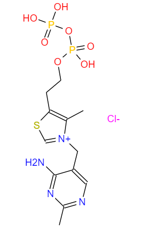 cocarboxylase