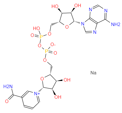 β-NICOTINAMIDE ADENINE DINUCLEOTIDE SODIUM SALT