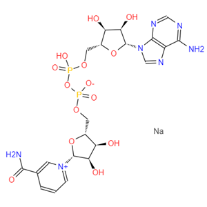 β-NICOTINAMIDE ADENINE DINUCLEOTIDE SODIUM SALT