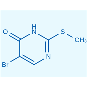 5-溴-2-(甲硫基)-4(1氢)-嘧啶酮