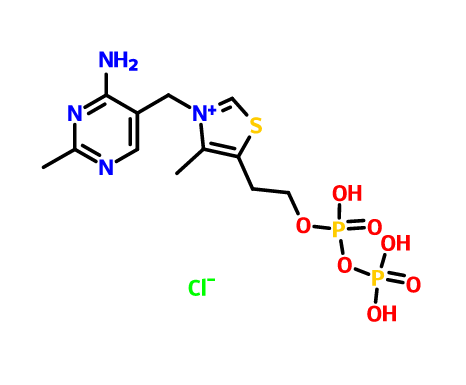 焦磷酸硫胺素,Vitamin B1