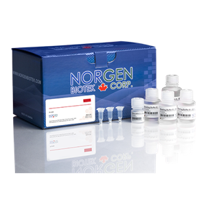 血浆/血清循环和核外RNA纯化小提试剂盒（提取试剂盒）