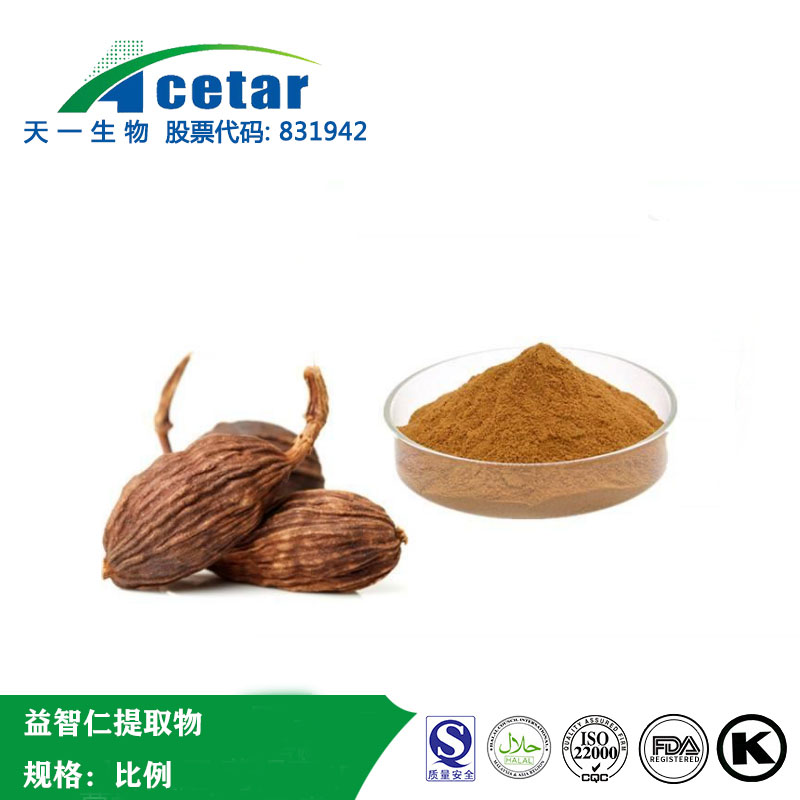 益智仁提取物,Sharpleaf Galangal Fruit extract